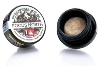 Focus North Gardens: Wedding Pie
