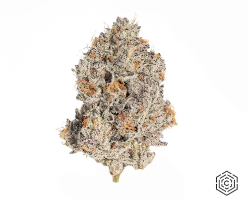 Culta Prepack 3.5g | Honey Funk