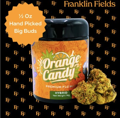 FRANKLIN FIELDS JAR | ORANGE CANDY