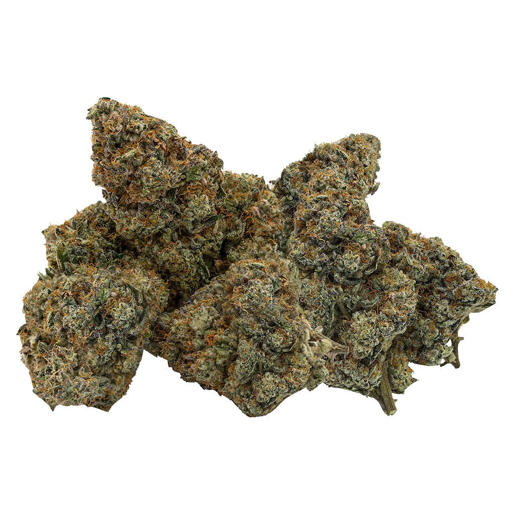 Northern Canna - East Coast Animal - 14g
