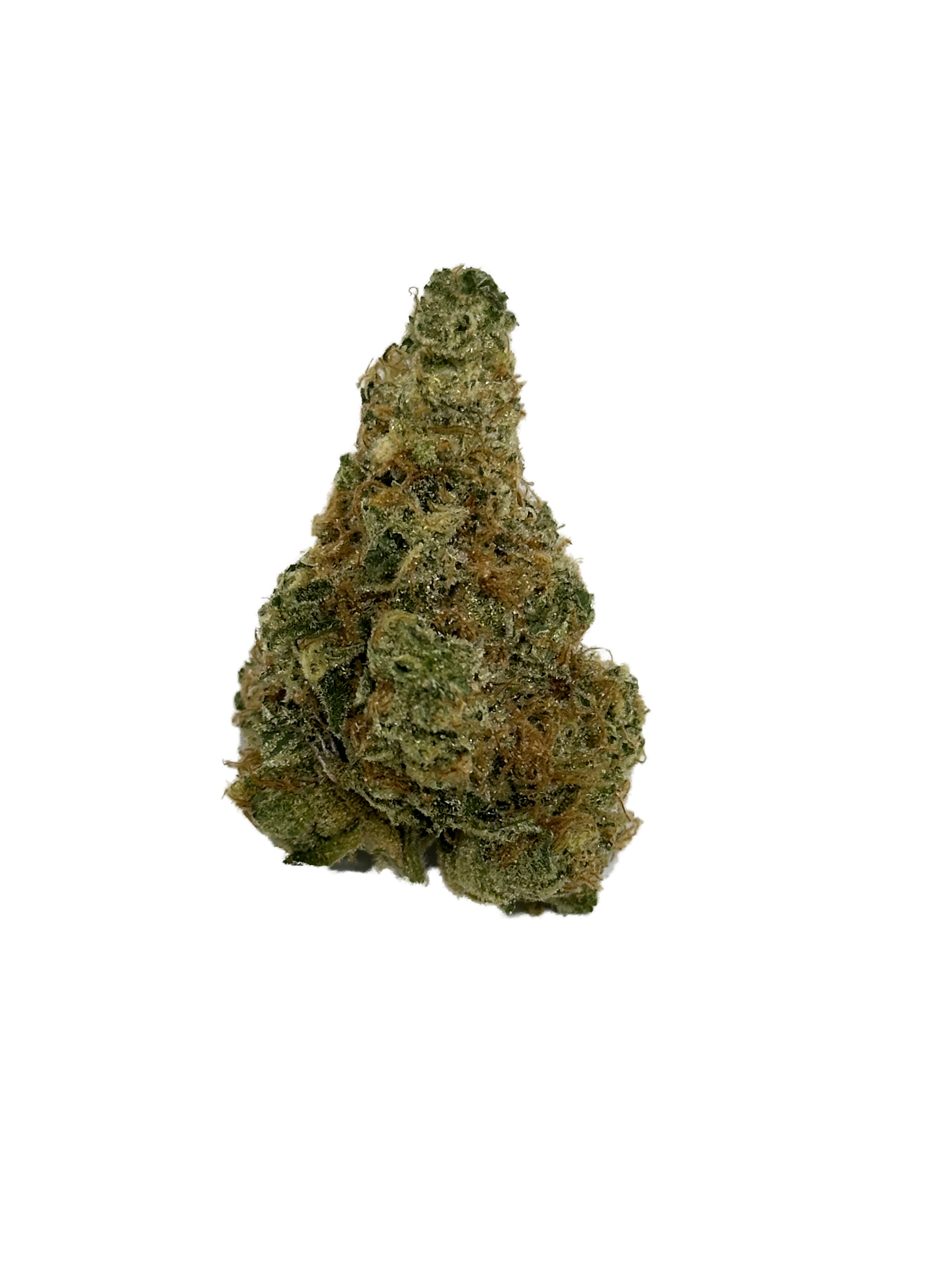 Rainbow Guava
