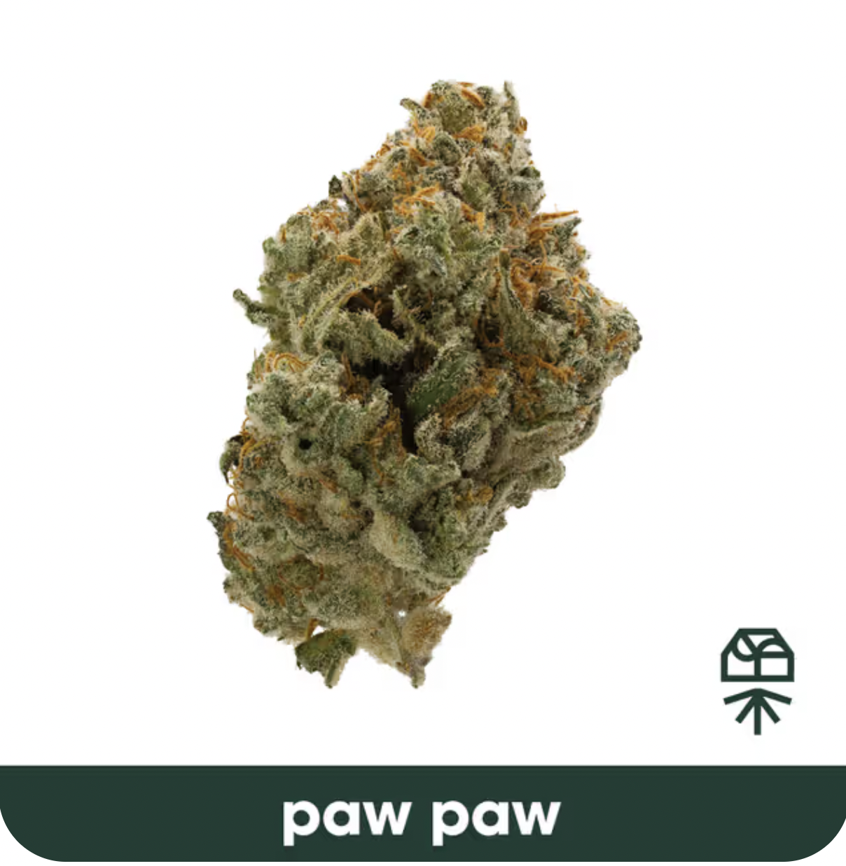 Paw Paw - 3.5g - H