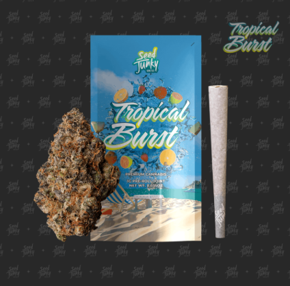 Seed Junky - Tropical Burst - 1g Preroll