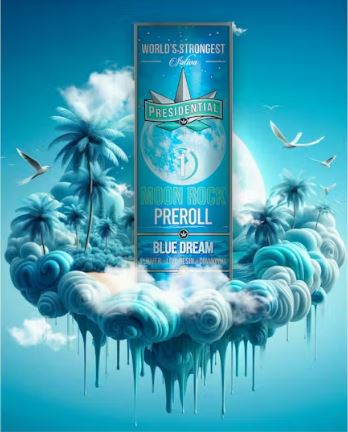 INFUSED PREROLL - - SATIVA - BLUE DREAM