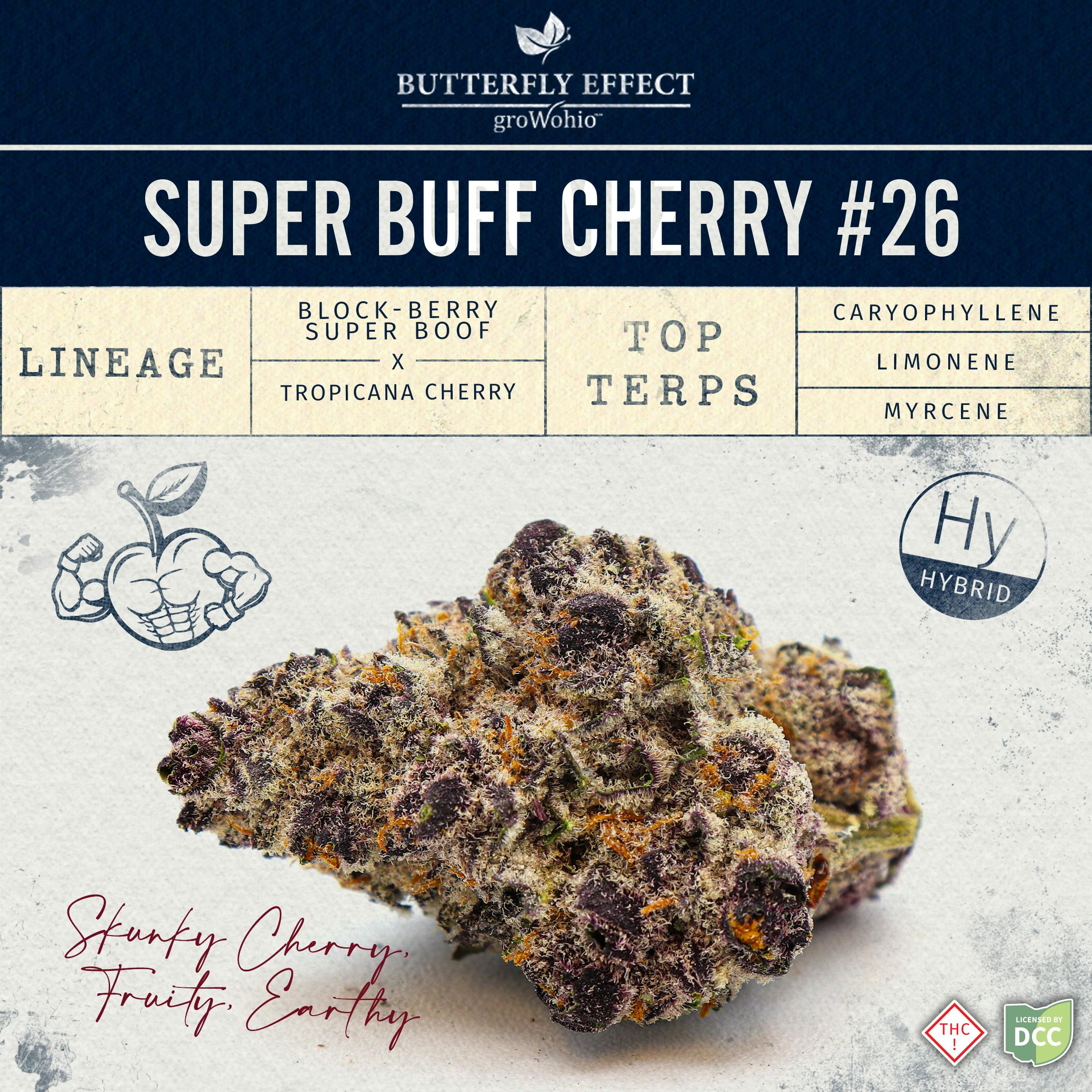 Butterfly Effect - Super Buff Cherry #26 - Flower - 14.15g