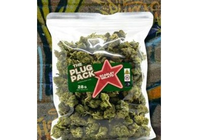 Plug Pack 28g Flower Scarlet Gelato