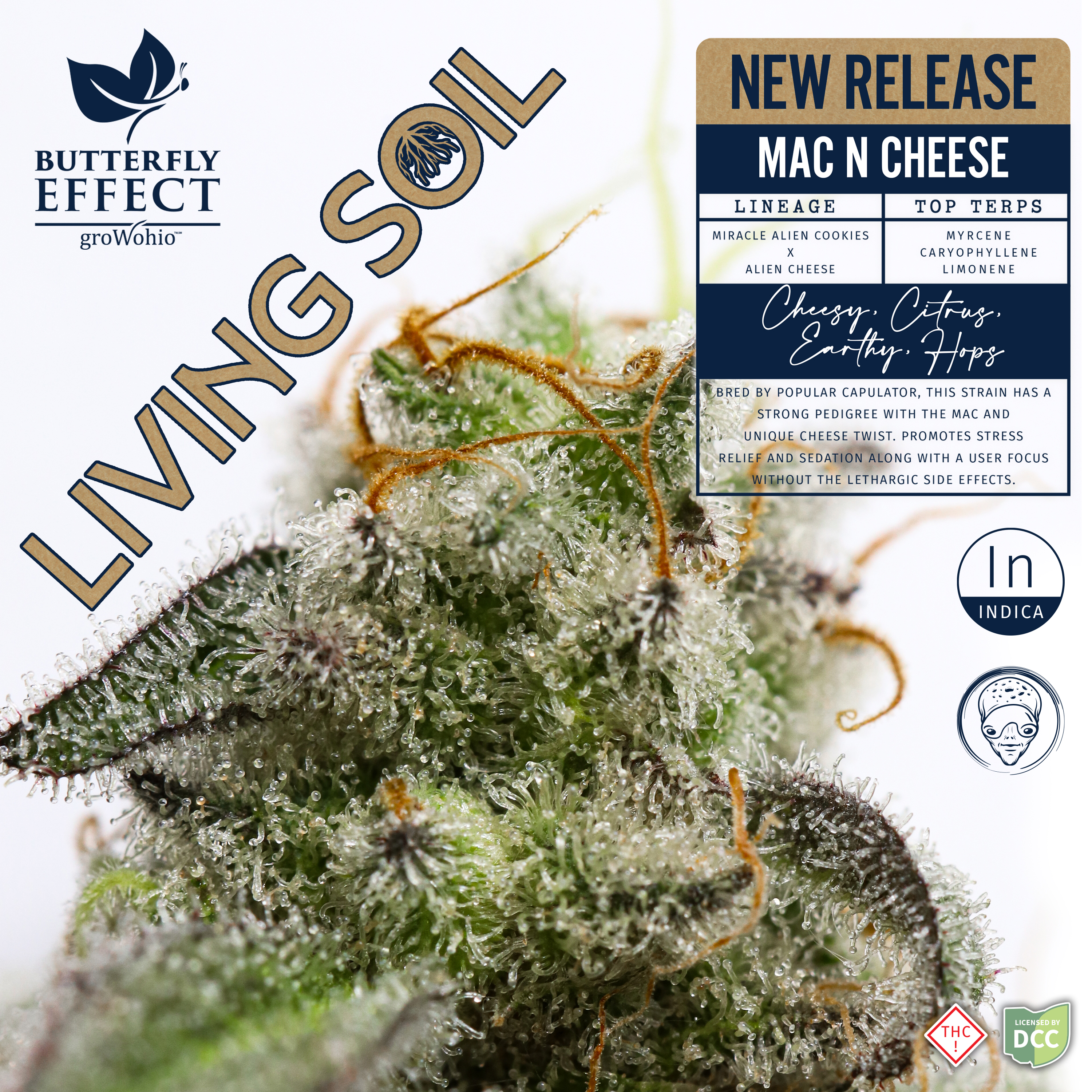 Living Soil | Mac and Cheese | 2.83g