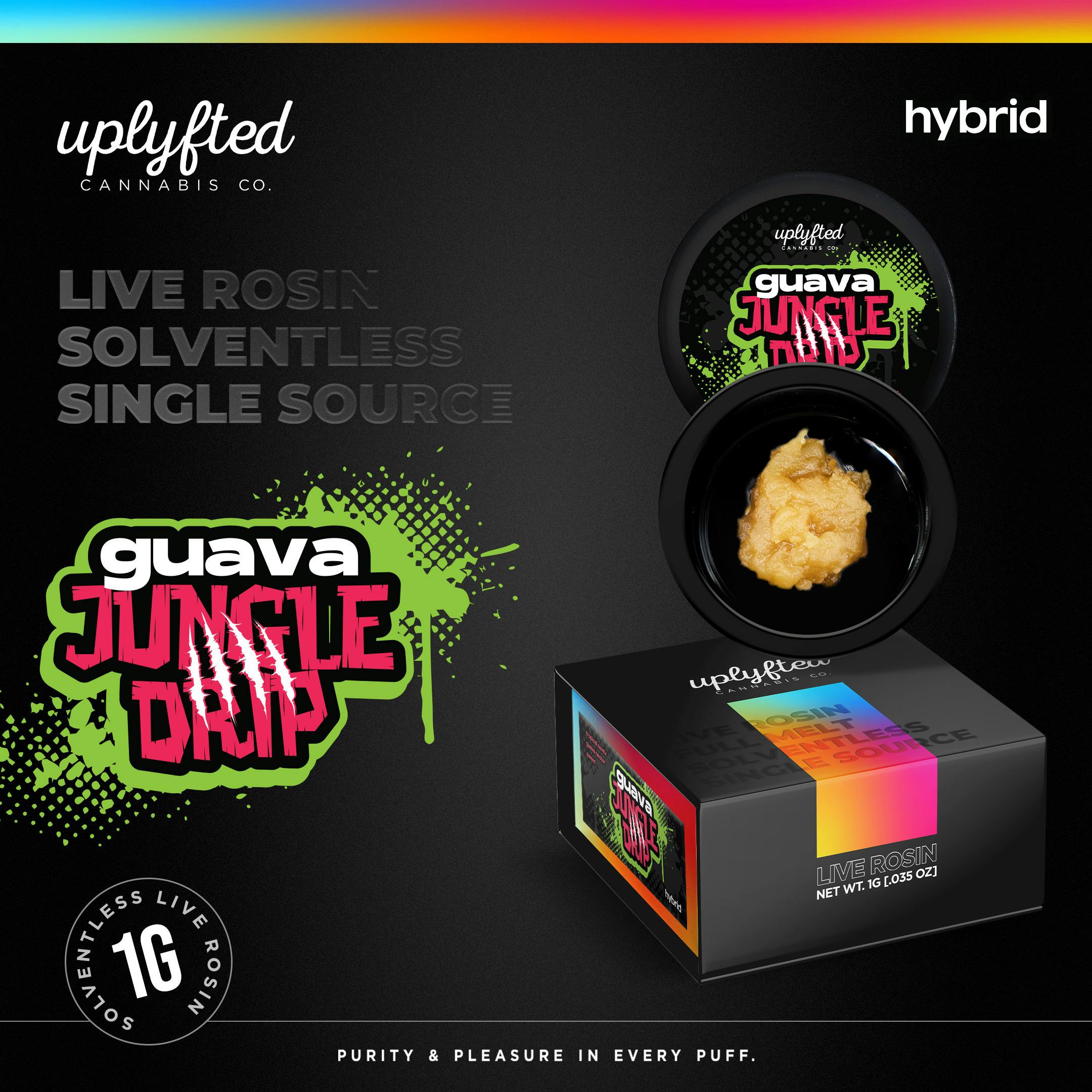 Uplyfted: Guava Jungle Drip 1G Live Rosin