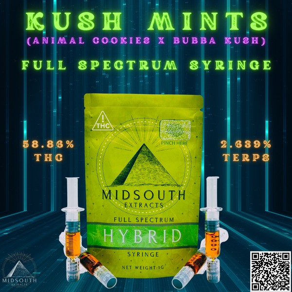 MidSouth Extracts| 1g | Kush Mintz | Syringe