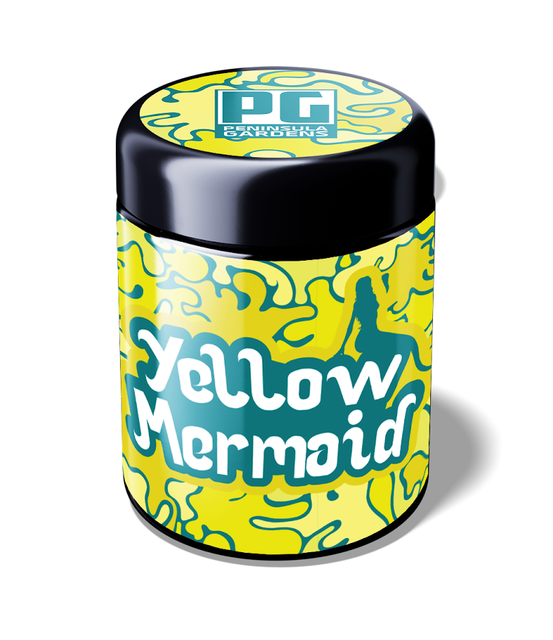 Peninsula Gardens Yellow Mermaid Pre-Packed Half Oz Jar