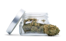 Batch - Say Less Bulk Flower