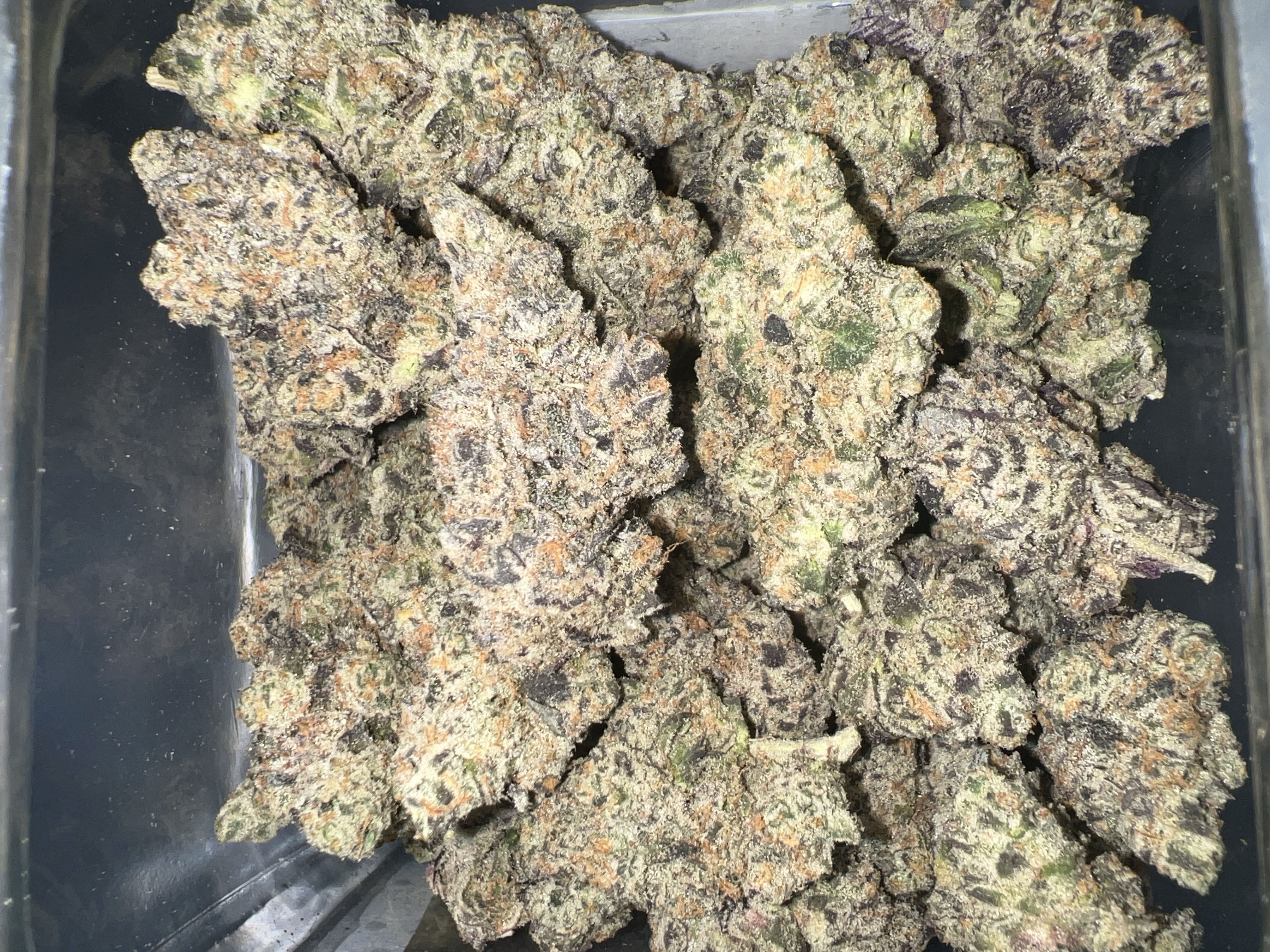 Black Sheep Cult. - FULL METAL JACKET (i) - Top Shelf $280/ oz