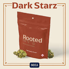 PRE-PACK FLOWER DARK STARZ (I) 3.5G