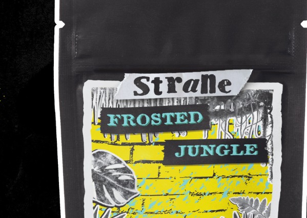 Frosted Jungle