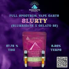 1g | Slurty | FSO