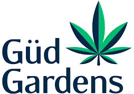 Hashburger/peanut Oil/jack Herer Strain Preroll