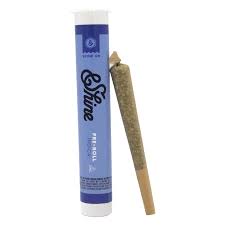 &Shine Pre-Roll | Garlic Drip | 1g (Indica)