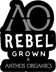 Rebel x Anthos | Double OG Chem (SSU) Pre-roll 3pk | 1.5g | Hybrid
