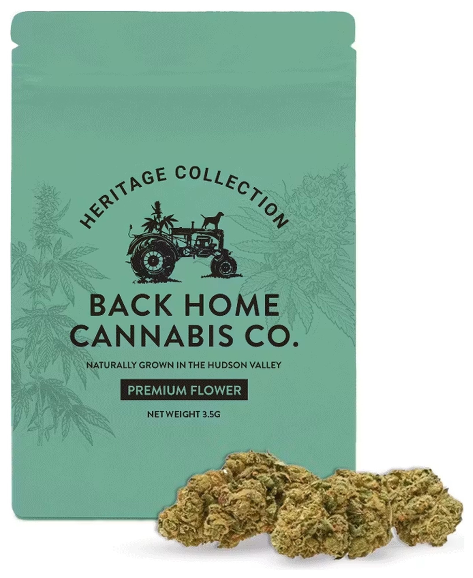 Jack Herer | Premium Flower | Sativa | 3.5g