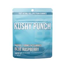 Gummies | 10pk | Hybrid | Blue Raspberry | Fast Acting | Full Spectrum | 100mg