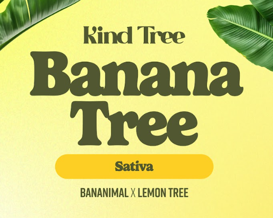 Kind Tree | Banana Tree 3.