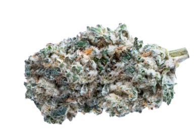 Kush Breath  - 28G - 28g in Windsor