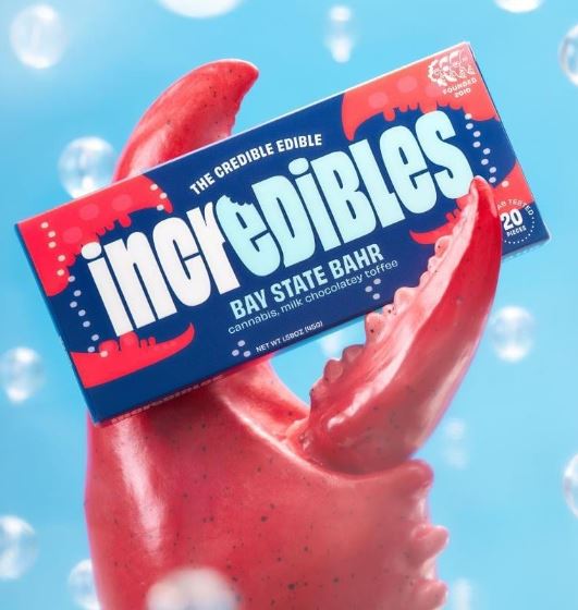 Incredibles Chocolate Bay State Bar 100mg