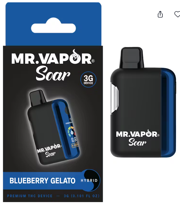 Mr. Vapor - Blueberry Gelato - 3g Disposable