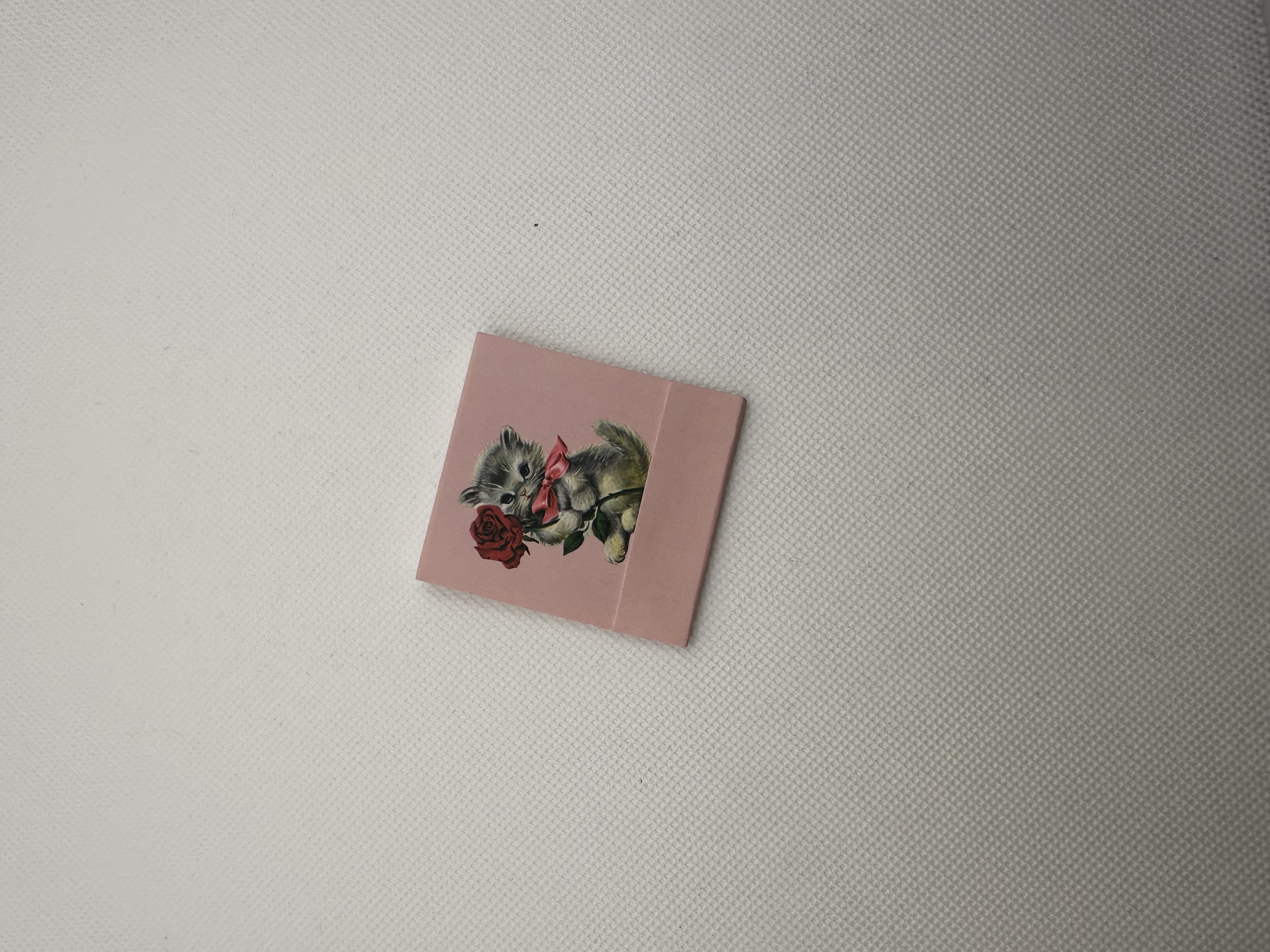 Burning Love Smitten Kitten Matchbook