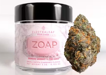 Zoap