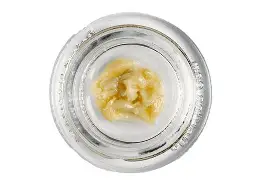 Holistic Hash: Papaya Live