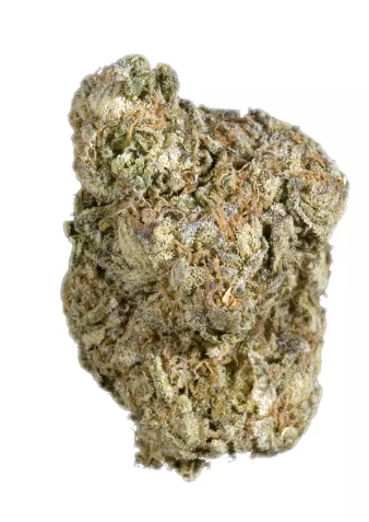 Supernova Spritz Flower