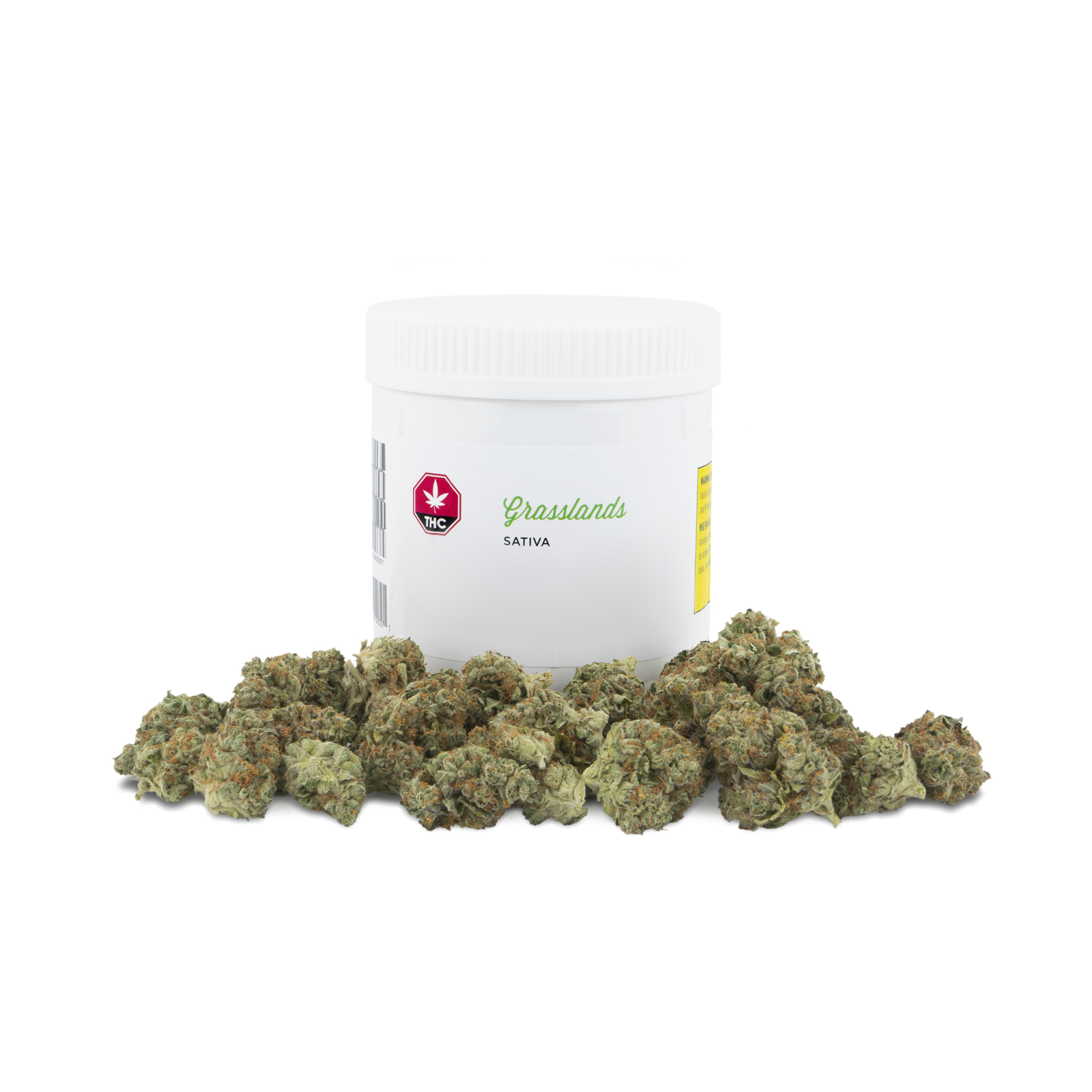 Sativa