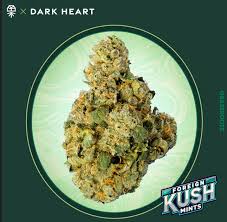 Foreign Kush Mints (IN) Flower