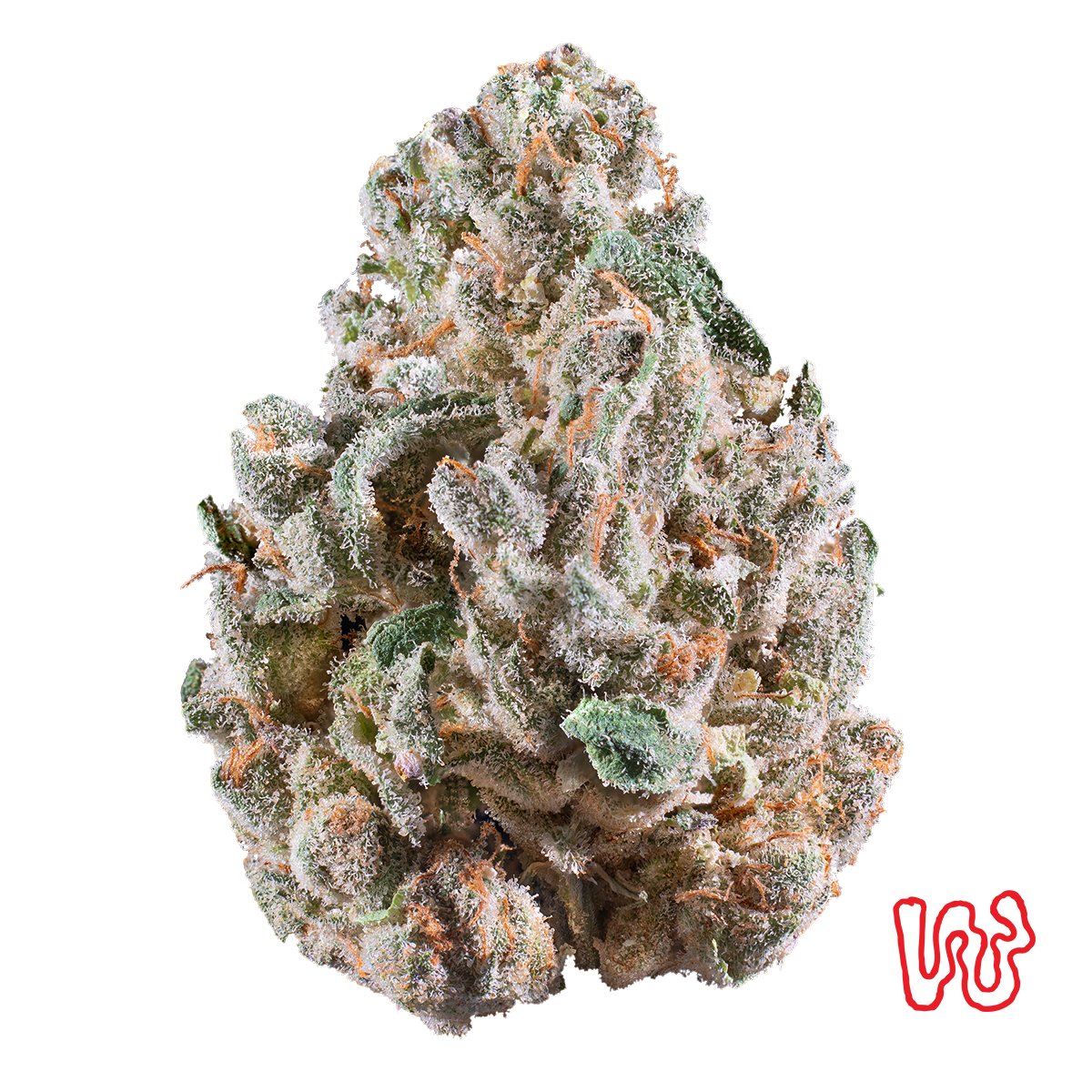 Woodward | Frosty Bananas (Buds) | 5.66g | Hybrid