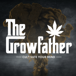 Growfather | Pineapple Express | Disposable | Live Rosin Terpenes |