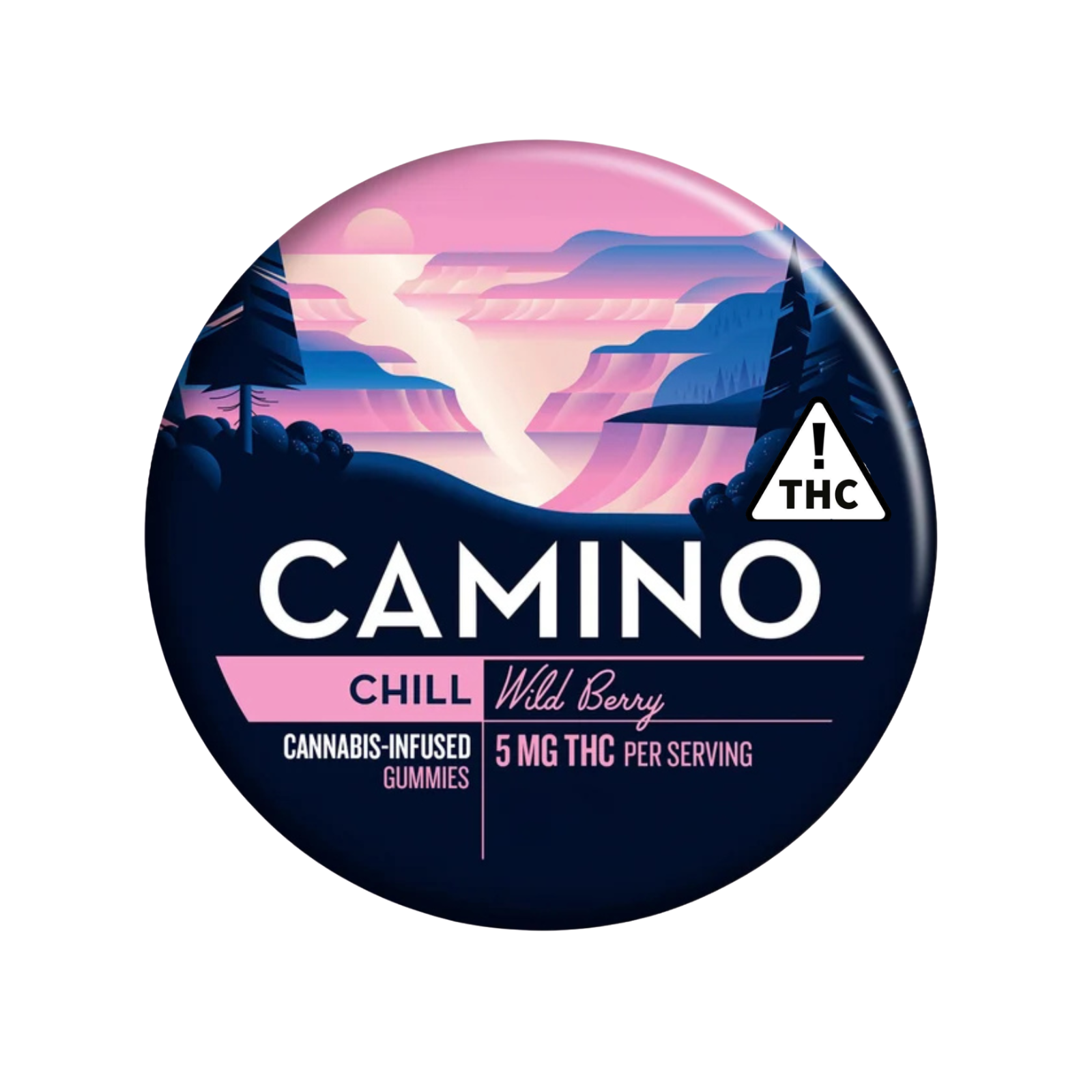 Kiva Camino Wild Berry 100mg Gummy