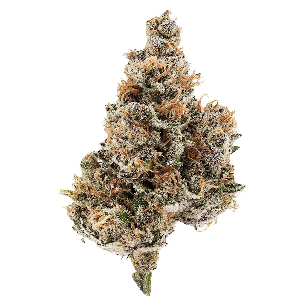 Potluck - Raspberry Runtz - Indica
