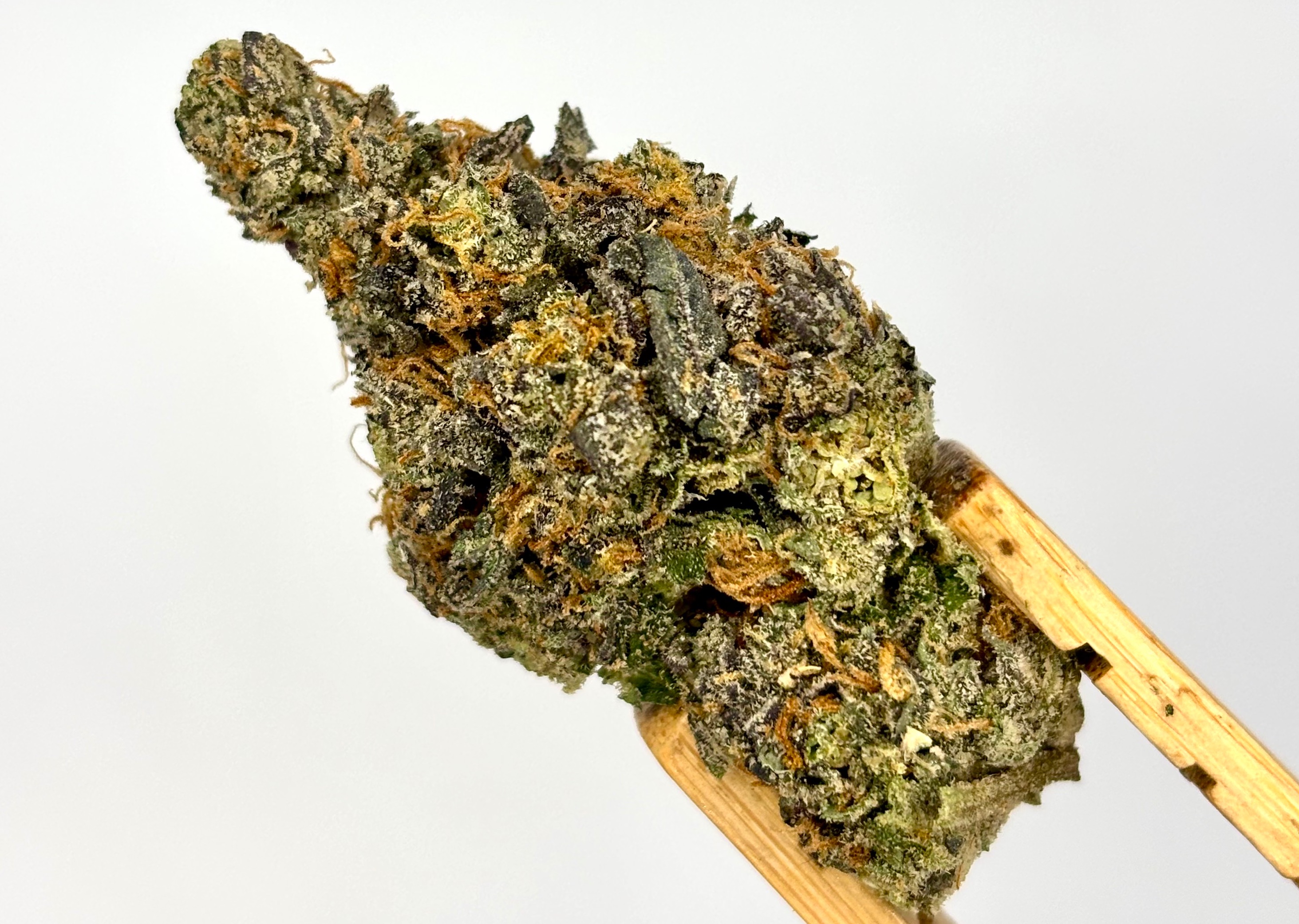 Glorious Cannabis | Black Rainbow | Bulk Flower | Yellow Tier