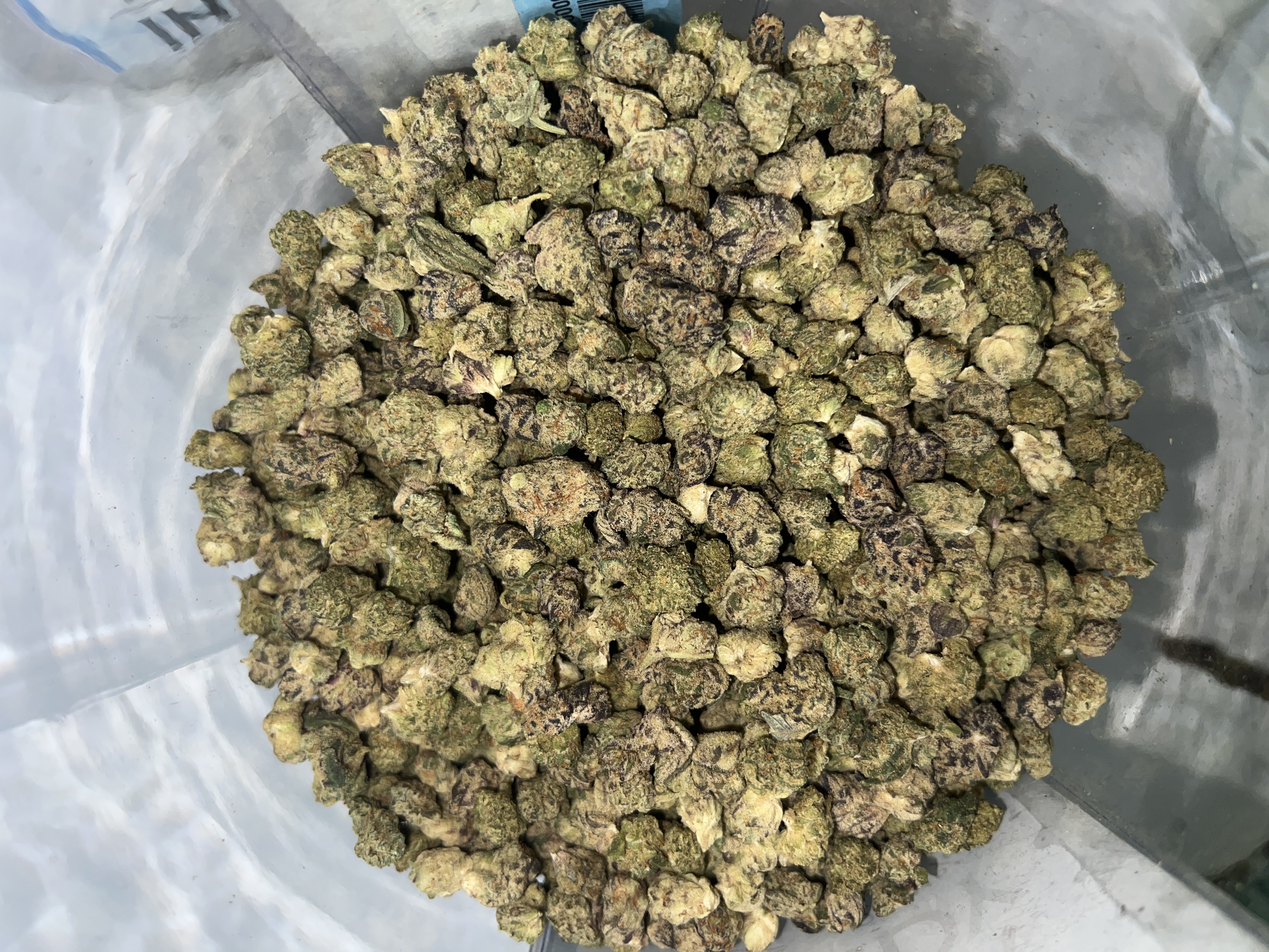 Koru Rock Candy