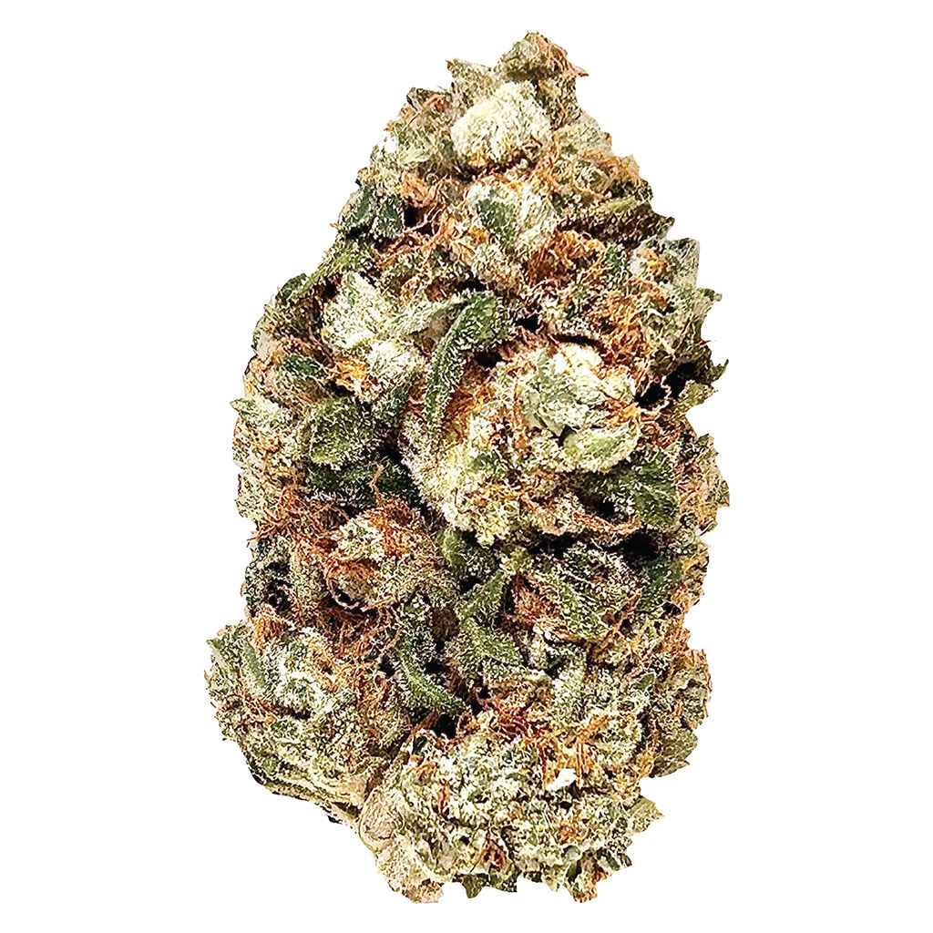 BC Green - Frosted Gumbo - Indica
