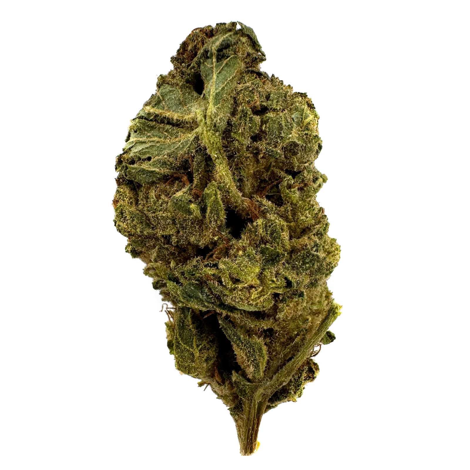 OG Farms | Sun Grown Bulk Flower | Bop Gun