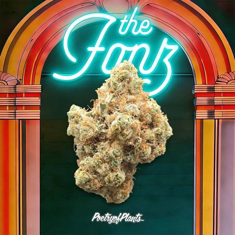 Legacy | The Fonz | Flower | 3.5g