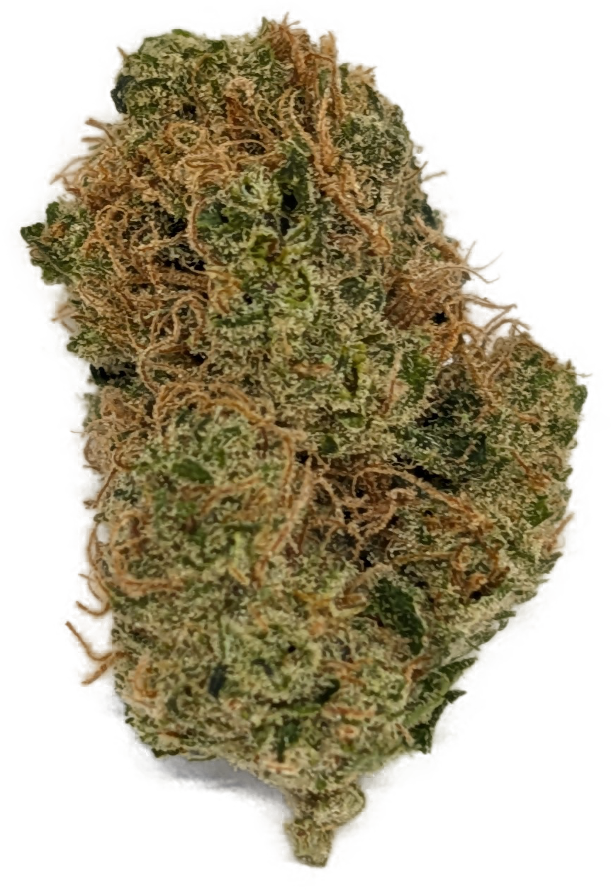 Golden Goat
