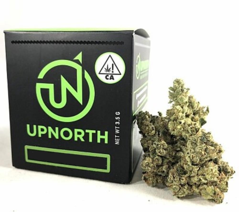 UpNorth: Cherry AK