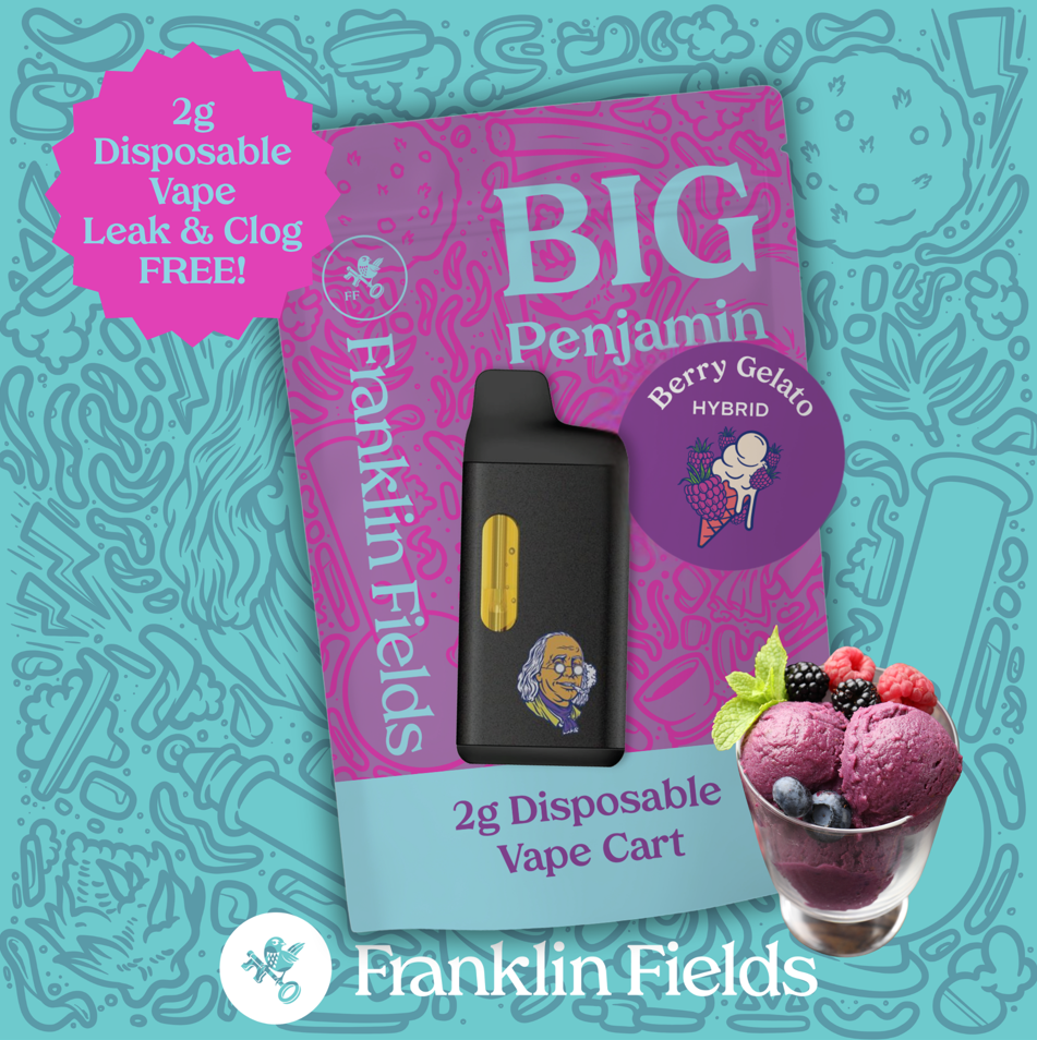 Berry Gelato Disp