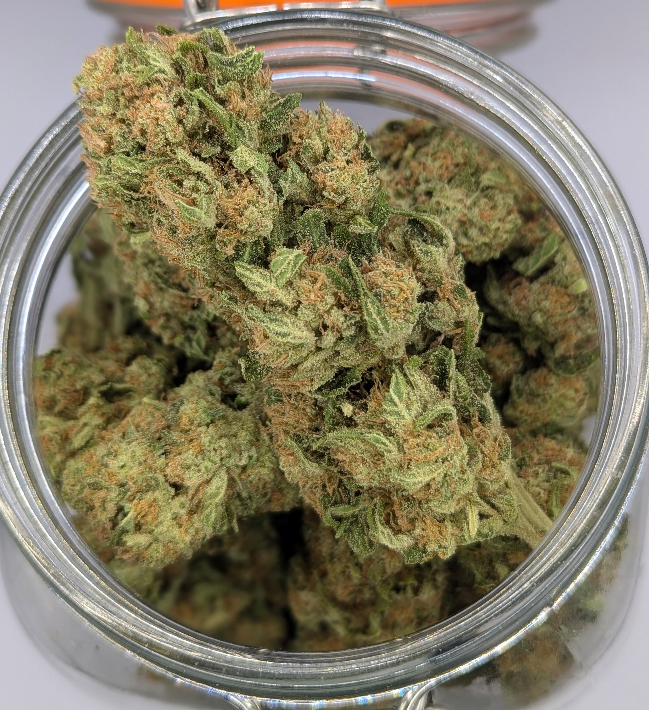 Papaya Sun Grown Deli Flower