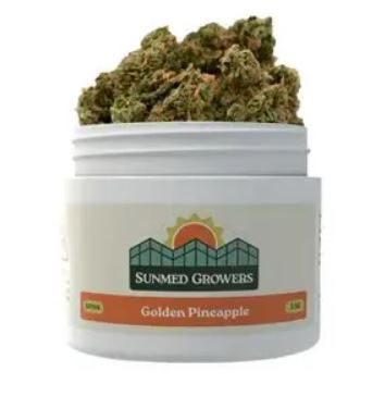 Golden Pineapple