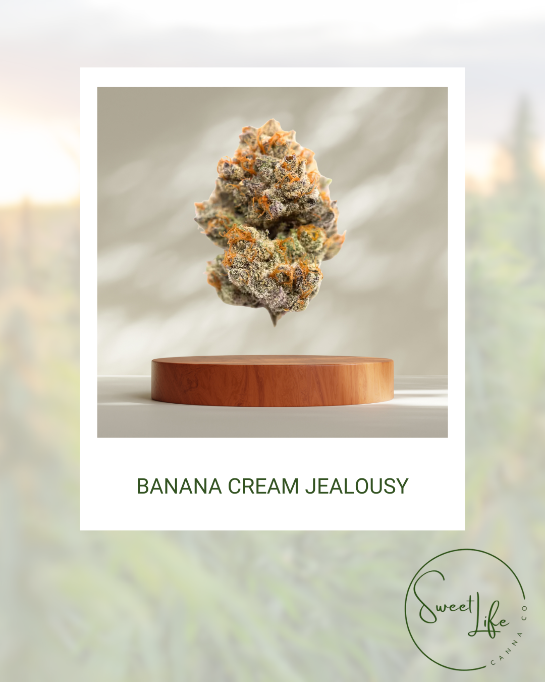 Banana Cream Jealousy | 3.5