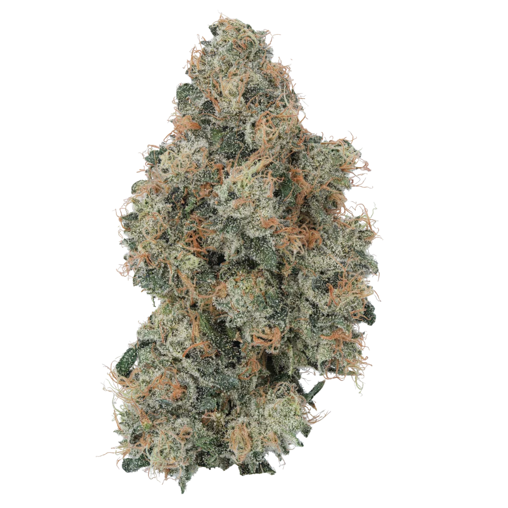 Sunset Octane x Pineapple Pez | 3.5g